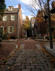 an alley with brick buildings and trees in the fall, surrounded by leaves on the ground