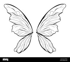 the outline of a butterfly's wings is shown in black and white, with one wing