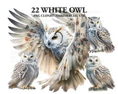 two white owls flying next to each other with their wings spread out and eyes open