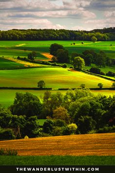 green fields with trees and clouds in the background