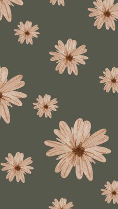 an image of a flower pattern on a green wallpaper with brown and white flowers