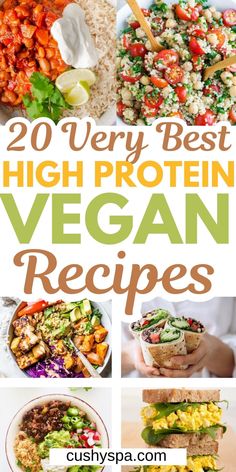 20 very best high protein vegan recipes that are easy to make and delicious for the whole family