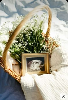 a basket filled with flowers next to a framed photo on a blanket in the snow