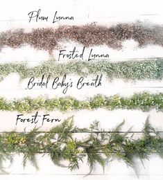 three different types of plants on a white wooden background with the names of each plant