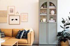 a living room filled with furniture next to a tall green bookcase and potted plant