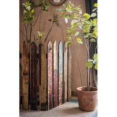 a potted plant sitting on top of a wooden table next to a wall mounted clock