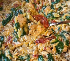 a spoon full of pasta with spinach and chicken