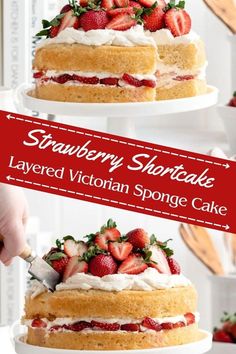 strawberry shortcake layered victorian sponge cake with whipped cream and fresh strawberries on top