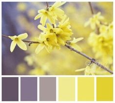 the color scheme is yellow and gray, with some flowers in bloom on it's branches