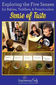 children are looking at their own pictures in the mirror and making sense of taste for each other