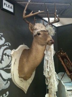 a deer head mounted to the side of a wall