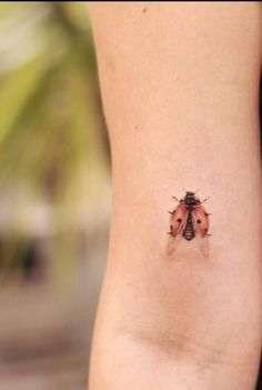 a ladybug tattoo on the back of a woman's left leg is shown