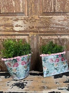 two flower pots sitting next to each other on top of a rug in front of a wooden door