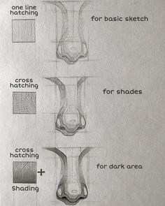 the diagram shows how to draw an animal's nose with different shapes and sizes