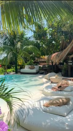 an outdoor swimming pool with lounge chairs and palm trees