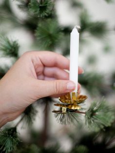 a hand holding a white candle on top of a christmas tree