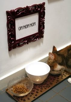 a cat sitting on the floor next to two bowls of food and a sign that says om nom