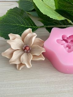 two soaps with flowers on them sitting next to green leaves and one is pink