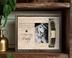 a dog's memorial frame is shown on a shelf next to a potted plant