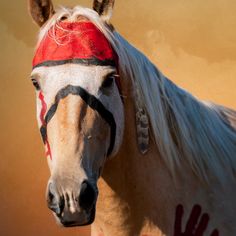 a white horse with red paint on it's face and head, standing in front of an orange sky