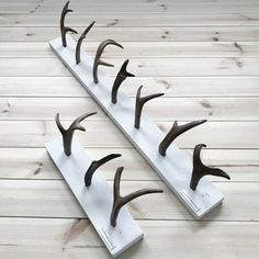 three deer antlers are mounted on the wall with hooks for each individual's head