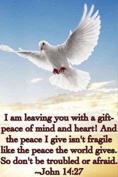 a white dove flying through the air with a bible verse below it