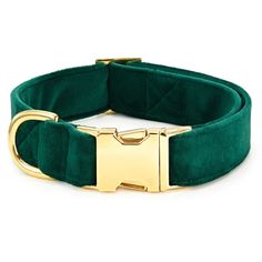 a green velvet dog collar with gold buckle