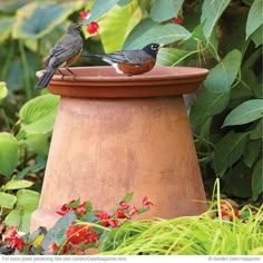 two birds are perched on top of a planter