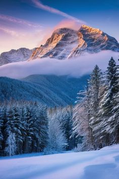 a snowy mountain with trees and clouds in the foreground, surrounded by snow covered mountains