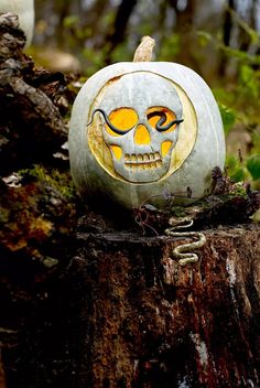 a carved pumpkin with an evil face is sitting on a tree stump in the woods