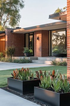 two black planters with succulents in front of a brick house