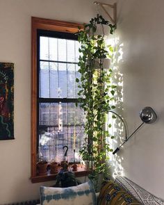 a living room with a couch, window and potted plant on the wall next to it