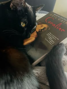 a black cat laying on top of a bed next to a book titled the art of marilyn cratine