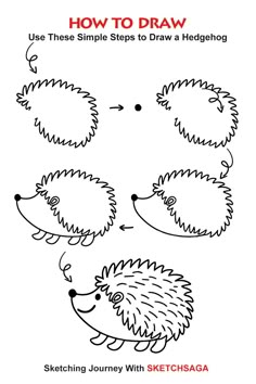 how to draw hedges for children and adults with step by step instructions on how to draw