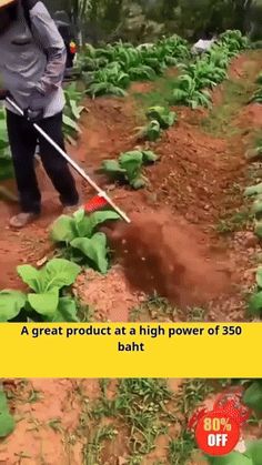 a man is using a pole to mop the ground