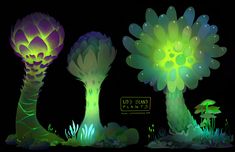 three different types of plants in the dark with green and purple lights on them, one is