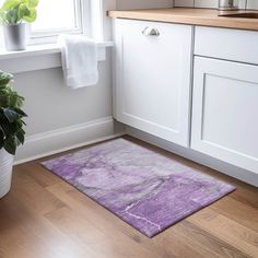 a bathroom with a potted plant on the floor and a rug in front of it