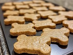 dog biscuits on a cookie sheet ready to be baked