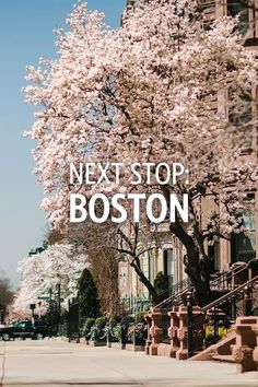 the words next stop boston are in front of a tree with white blossoms on it