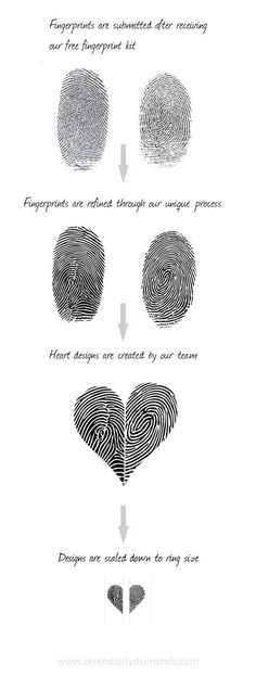 the fingerprint process is shown in black and white, with instructions for how to use it