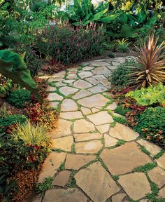 a stone path in the middle of a garden