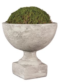 a large cement bowl with moss growing in it