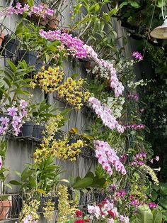 many different types of flowers growing on the side of a building