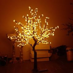 a lighted tree is next to a pile of books