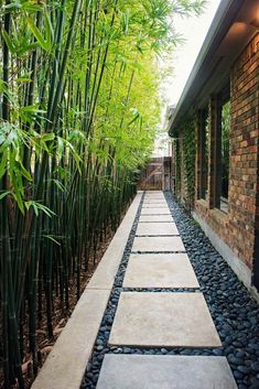 the walkway is lined with stones and bamboo trees