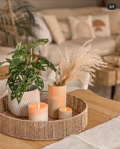 two candles are sitting on a tray with some plants in the middle and a potted plant next to it