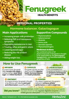 Fenugreek Seeds Benefits, Herbs For Health, Naturopathy