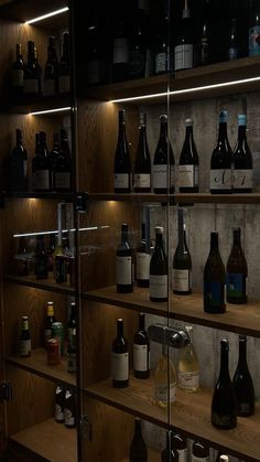 the shelves are filled with bottles of wine