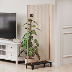 a living room with a tv, plant and white cabinet in front of the television