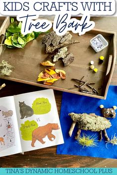 kids'crafts with tree bark and other items on a wooden table, including an open book